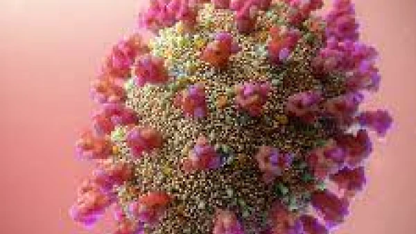 സൗദിയിലും ഒമിക്രോൺ സ്ഥിരീകരിച്ചു