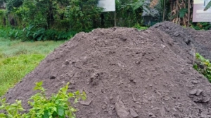 
                        ഡാറ്റബാങ്കിൽപ്പെട്ട വയൽ നികത്തൽ, കുറ്റക്കാർക്കെതിരെ ശക്തമായ നടപടി സ്വീകരിക്കുക - കിസാൻസഭ