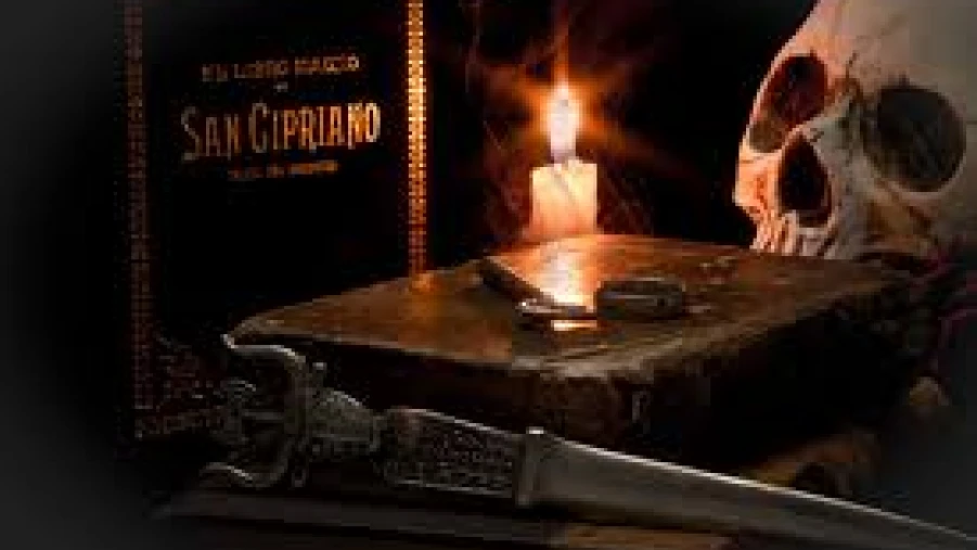  രക്തം വരാതെ കൊല്ലണമെന്ന് മന്ത്രവാദി; ആറ് മാസം പ്രായമുള്ള കുഞ്ഞിനെ ഫിഷ് ടാങ്കില്‍ മുക്കിക്കൊന്നു