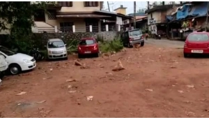 
                        ബാലുശേരിയിൽ സ്കൂൾ വിദ്യാർത്ഥിയെ തെരുവ് നായ കടിച്ചു