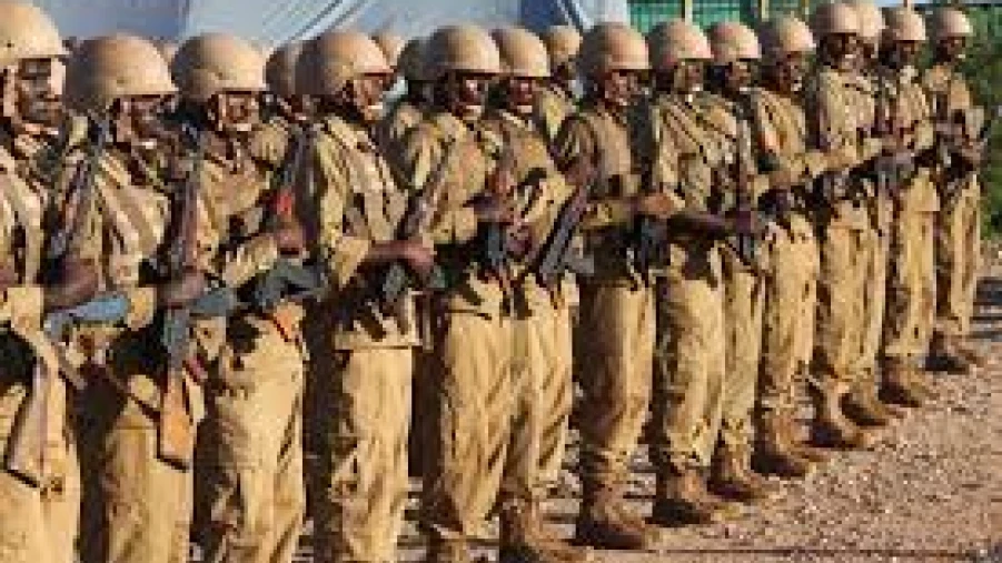 അഫ്‌സ്പ പിൻവലിക്കൽ; പ്രത്യേക സമിതിയെ നിയോഗിച്ചു