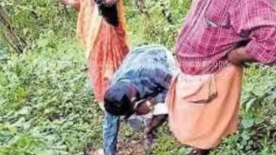 ഭൂമിയിൽ വിള്ളലുകൾ, ഭീതിയിൽ നാട്ടുകാർ; ക്വാറികൾ തുടങ്ങിയ ശേഷമുണ്ടായ മാറ്റം പഠിക്കണമെന്ന ആവശ്യം ശക്തം