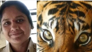 
                        പട്രോളിംഗ് സംഘത്തിന് നേരെ കടുവയുടെ ആക്രമണം; വനിതാ ഫോറസ്റ്റ് ഓഫീസർ കൊല്ലപ്പെട്ടു