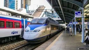 
                        കെ- റെയിൽ; സർക്കാരിനെ വിമർശിച്ച് പുതുപ്പാടിയിൽ മാവോയിസ്റ്റ് പോസ്റ്ററുകൾ