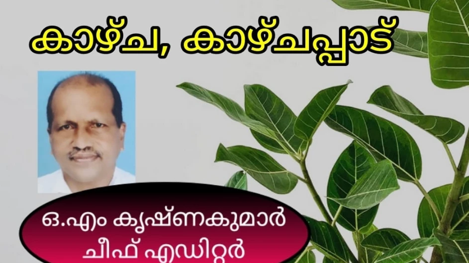 പേവിഷ വാക്സിൻ കേന്ദ്ര ലാബിൽ പരിശോധിക്കണം