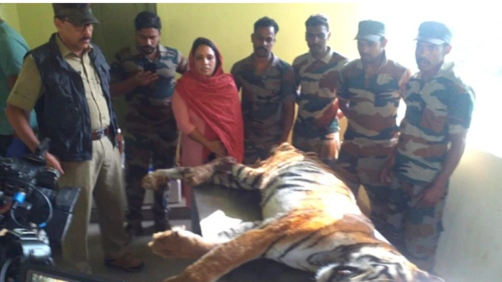 ജനവാസ മേഖലയിൽ ഭീതി പരത്തിയ കടുവ ചത്ത നിലയിൽ