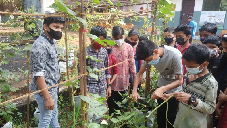 വിഷരഹിത പച്ചക്കറി കൃഷിയിൽ നൂറുമേനി വിളവുമായി നന്മണ്ട എ യു പി സ്കൂൾ