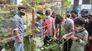
                        വിഷരഹിത പച്ചക്കറി കൃഷിയിൽ നൂറുമേനി വിളവുമായി നന്മണ്ട എ യു പി സ്കൂൾ
