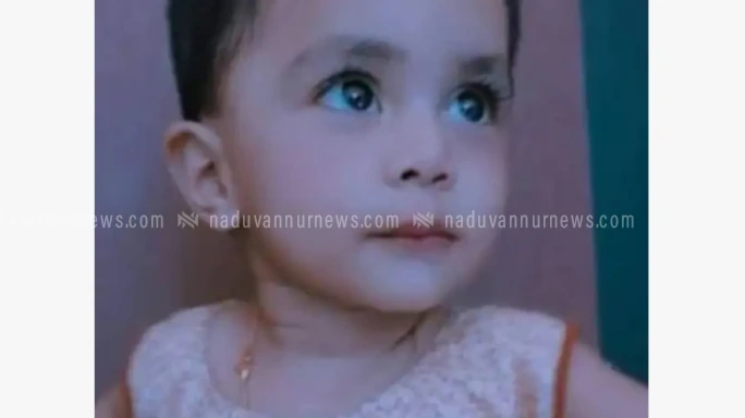 ബക്കറ്റിലെ വെള്ളത്തിൽ വീണ് പിഞ്ചുകുഞ്ഞ് മരിച്ചു