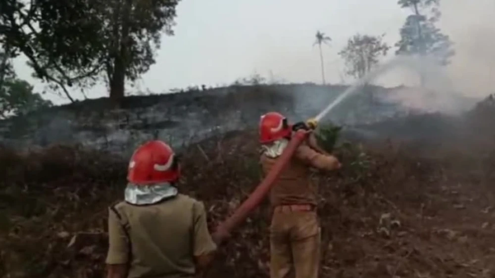 പേരാമ്പ്ര കല്ലോട് റബര്‍ തോട്ടത്തിന് തീ പിടിച്ചു