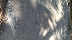 
                        അശാസ്ത്രീയമായി നിർമ്മിച്ച ഹമ്പ് അപകടമുണ്ടാക്കുന്നു; ഇരിങ്ങത്ത്- നടുവണ്ണൂർ റോഡിൽ അപകടം നിത്യ സംഭവമാവുന്നു