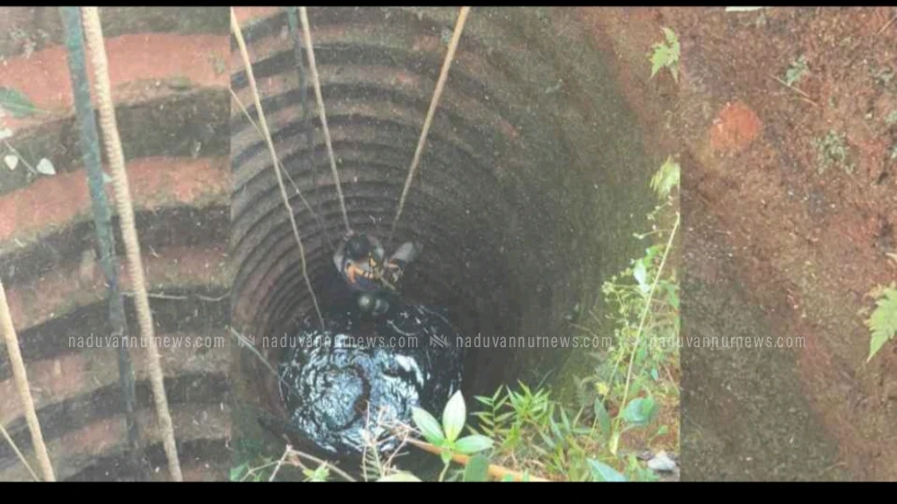 തൂണേരിയിൽ വിഷവാതകം നിറഞ്ഞ കിണറ്റിൽവീണ ആടിനെ രക്ഷപ്പെടുത്തി