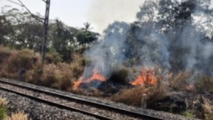 
                        മൂരാട് റെയിൽവേ ഗേറ്റിനു സമീപം തീപ്പിടുത്തം