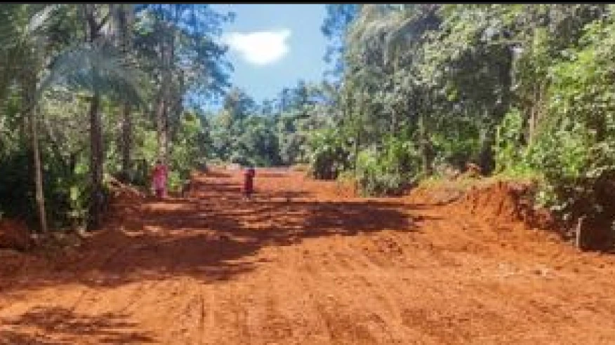  ബൈപ്പാസ് നിർമാണത്തിൻ്റെ മറവിൽ സമീപത്തെ തണ്ണീർത്തടങ്ങൾ നികത്തുന്നതായി പരാതി