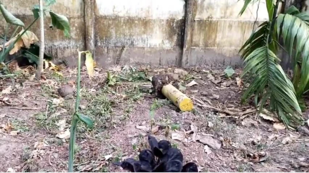 ഫറൂഖില്‍ കെ റെയില്‍ പദ്ധതിയുടെ സര്‍വ്വേക്കല്ല് യൂത്ത് ലീഗ് പ്രവര്‍ത്തകര്‍ പിഴുത് മാറ്റി