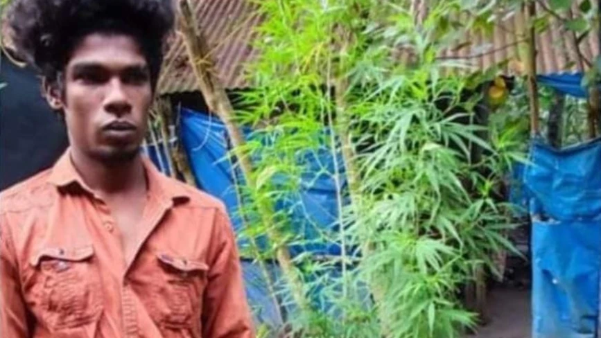 ബാത്ത്‍റൂമിന് മുകളിൽ ഗ്രോബാഗിൽ കഞ്ചാവ് ചെടികൾ, യുവാവിനെ കൈയ്യോടെ പൊക്കി എക്സൈസ്