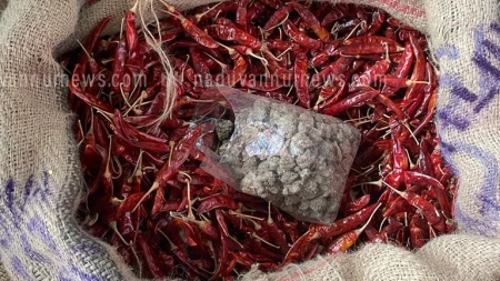 നാൽപത് കിലോ വറ്റൽമുളകിൽ രണ്ടു കിലോ കല്ല്