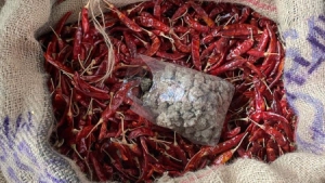 
                        നാൽപത് കിലോ വറ്റൽമുളകിൽ രണ്ടു കിലോ കല്ല്