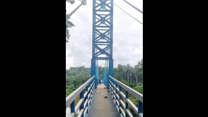 
                        കക്കാട്-മംഗലശ്ശേരിത്തോട്ടം കടവിൽ തൂക്കുപാലം അവസാന ഘട്ട മിനുക്കുപണിയിലേക്ക്