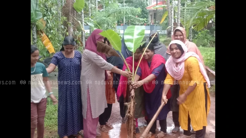 നടുവണ്ണൂർ അലേമ്പ്ര താഴെ റോഡിലെ വെള്ളക്കെട്ടിൽ വാഴ നട്ടു പ്രതിഷേധിച്ചു