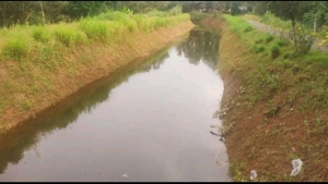 
                        മുളിയങ്ങൽ കരുവണ്ണൂർ ചെറിയ കനാലിൽ വെള്ളമെത്തിയില്ല; ജലക്ഷാമം രൂക്ഷം