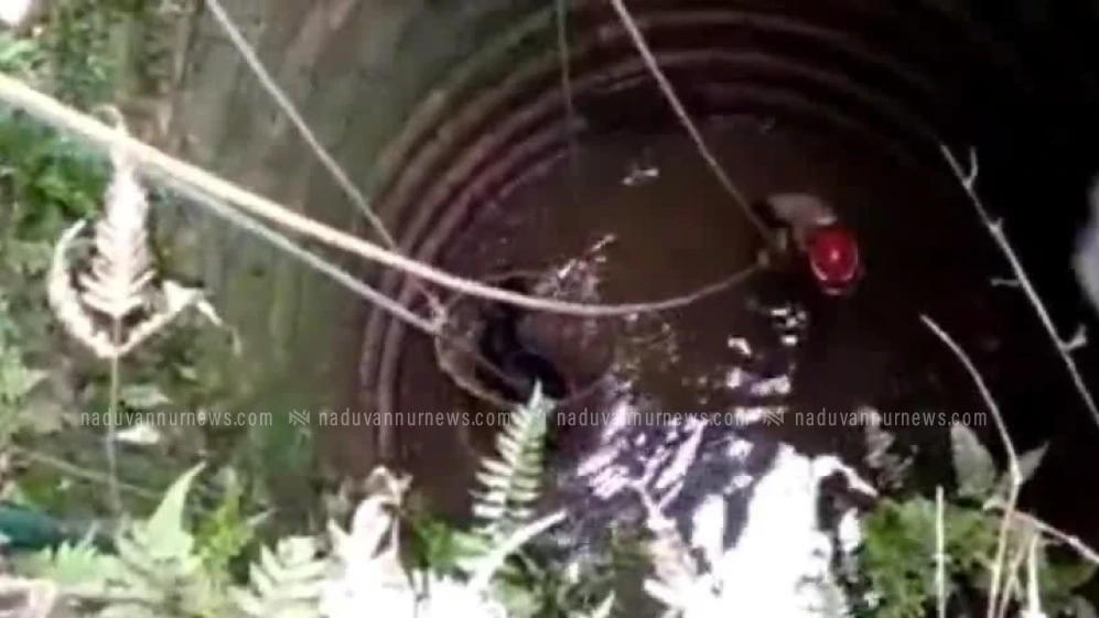 കിണറ്റിൽ വീണ മുട്ടനാടിന് രക്ഷകരായി പേരാമ്പ്ര ഫയർഫോഴ്സ്