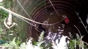 
                        കിണറ്റിൽ വീണ മുട്ടനാടിന് രക്ഷകരായി പേരാമ്പ്ര ഫയർഫോഴ്സ്