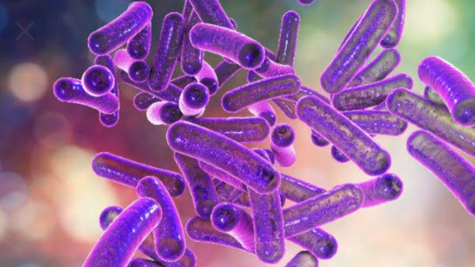 കാസർഗോഡ് ഷവർമ ഭക്ഷ്യവിഷബാധയേറ്റ നാല് കുട്ടികൾക്ക് ഷിഗല്ല രോഗബാധ സ്ഥിരീകരിച്ചു