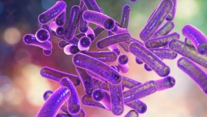 
                        കാസർഗോഡ് ഷവർമ ഭക്ഷ്യവിഷബാധയേറ്റ നാല് കുട്ടികൾക്ക് ഷിഗല്ല രോഗബാധ സ്ഥിരീകരിച്ചു