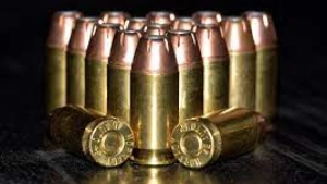 
                        തൊണ്ടയാടിന് സമീപം വെടിയുണ്ടകൾ ഉപേക്ഷിച്ച നിലയിൽ