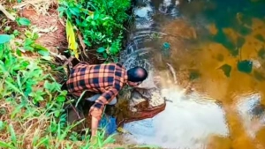 
                        കരുവണ്ണൂരിൽ അരി തോട്ടിൽ ഒഴുക്കി; പ്രതിഷേധവുമായി കരുവണ്ണൂർ കോൺഗ്രസ്‌ കമ്മിറ്റി