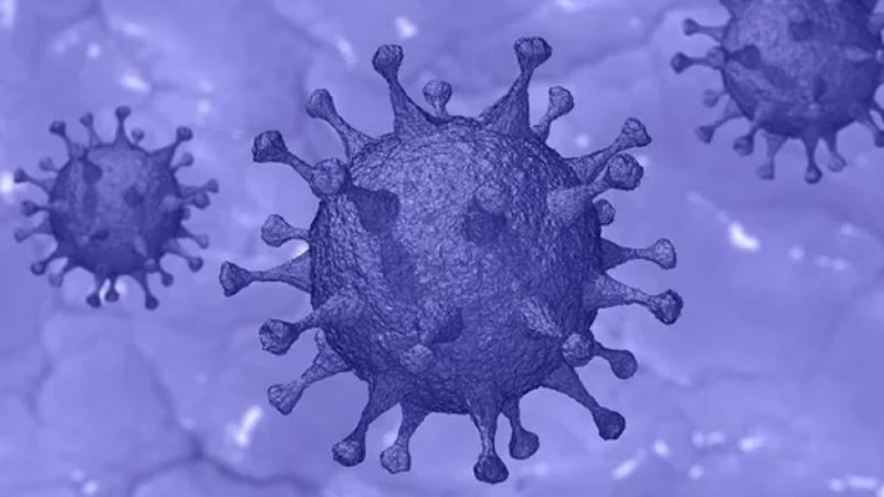  ഇന്ത്യയിൽ പുതിയ ഒമിക്രോൺ BF.7 വകഭേഭം സ്ഥിരീകരിച്ചു