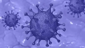 
                        ഇന്ത്യയിൽ പുതിയ ഒമിക്രോൺ BF.7 വകഭേഭം സ്ഥിരീകരിച്ചു