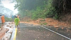 
                        താമരശേരി ചുരത്തിൽ മണ്ണിടിഞ്ഞ് ഒന്നര മണിക്കൂർ ഗതാഗതം മുടങ്ങി