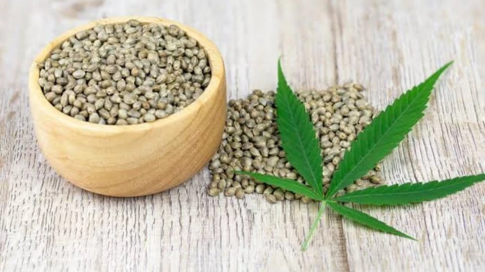 മിൽക്ക് ഷേക്കിൽ കഞ്ചാവ് കുരു അരച്ച് ചേർത്ത് ലഹരി വിതരണം ; കോഴിക്കോട് ബീച്ചിൽ കടയടപ്പിച്ചു