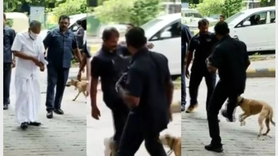 മുഖ്യമന്ത്രി പിണറായി വിജയന്റെ വാഹനത്തിന് നേരെ ഓടിയടുത്ത് തെരുവുനായ