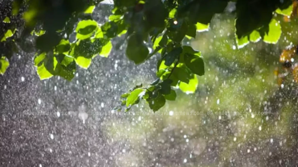 സംസ്ഥാനത്ത് പരക്കെ മഴയ്ക്ക് സാധ്യത; പത്തനംതിട്ടയിലും എറണാകുളത്തും യെല്ലോ അലര്‍ട്ട് 
