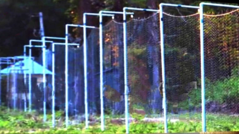 നബാർഡ് സഹായത്താൽ പെരുവണ്ണാമൂഴിയിൽ വന്യമൃഗശല്യം തടയാൻ സൗര തൂക്കുവേലി ഒരുങ്ങും