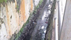 
                        ഖരമാലിന്യം നിറഞ്ഞ് അഴുക്കുചാലിലെ വെള്ളം ഒഴുകിപ്പോകുന്നില്ല