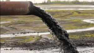 
                        കക്കൂസ് മാലിന്യ നിക്ഷേപം; സഹികെട്ട് ജനങ്ങൾ