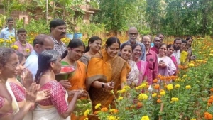 
                        പുളിയഞ്ചേരിയിൽ ചെണ്ടുമല്ലി പൂക്കളുടെ വിളവെടുപ്പ് നടത്തി