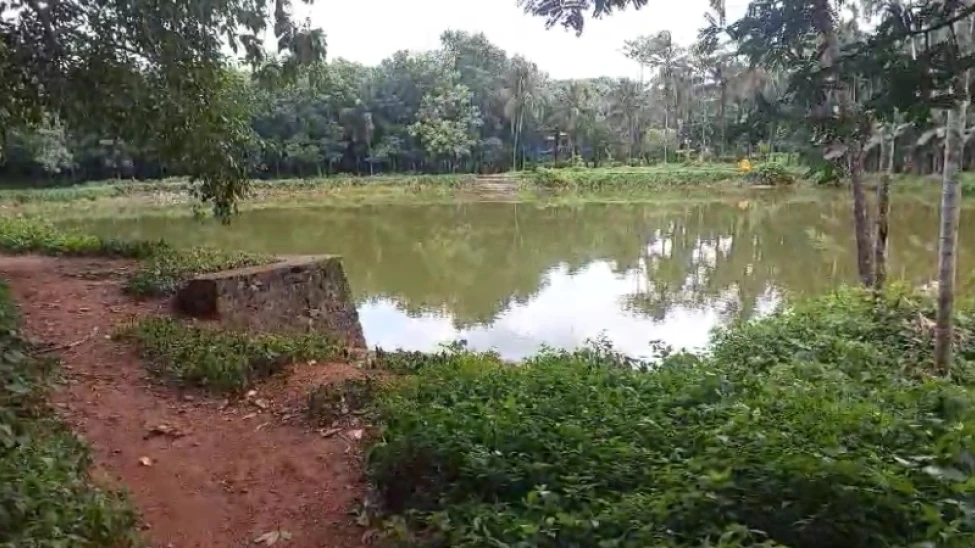 കുളത്തിൽ കുളിക്കാനിറങ്ങിയ മൂന്ന് സഹോദരിമാർ മുങ്ങി മരിച്ചു