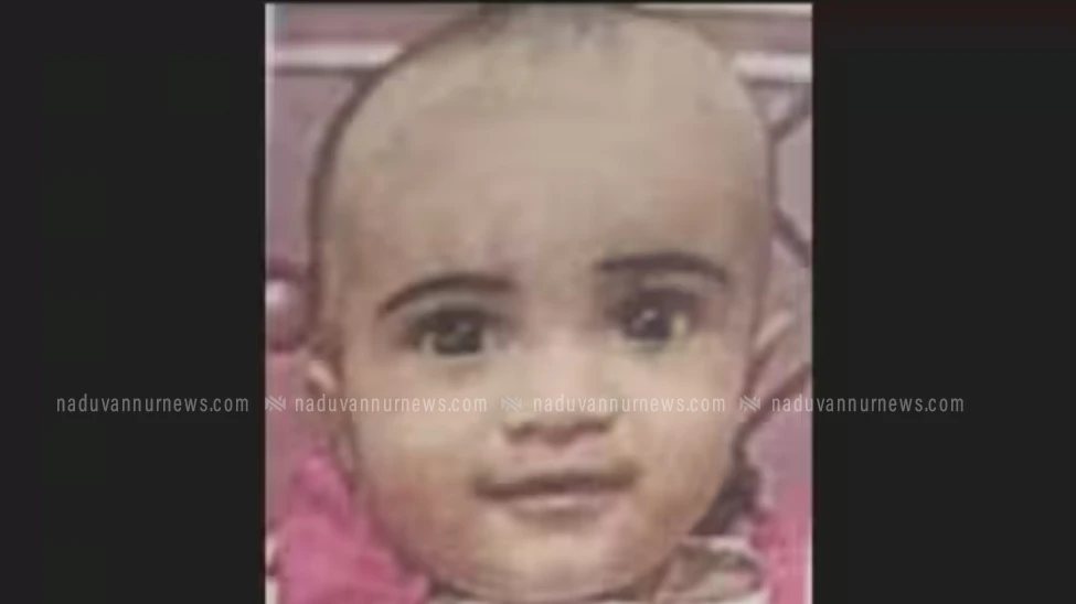 തെരുവ് നായ ഓടിച്ചപ്പോൾ അമ്മയുടെ കൈയിൽ നിന്ന് വഴുതി കിണറ്റിൽ വീണു, പിഞ്ചുകുഞ്ഞിന് ദാരുണാന്ത്യം