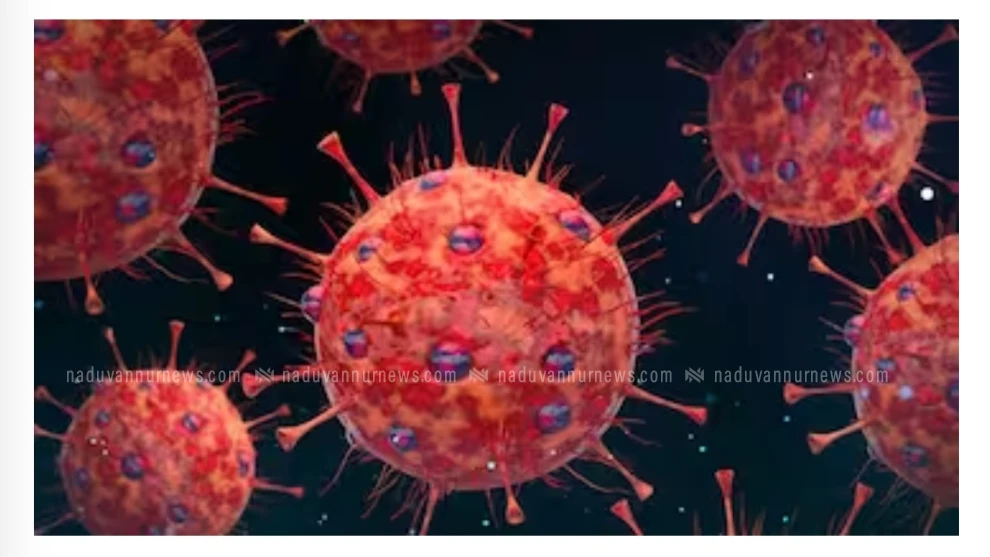 സംസ്ഥാനത്ത് 24 മണിക്കൂറിനിടെ 265 പേർക്ക് കൂടി കൊവിഡ്