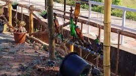 ചാലിക്കരയിലെ സ്നേഹാരാമം സാമൂഹ്യ ദ്രോഹികൾ തകർത്തു