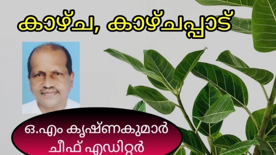  റോഡിലെ മനുഷ്യനിർമ്മിത കുരുതികൾ അവസാനിപ്പിക്കണം.