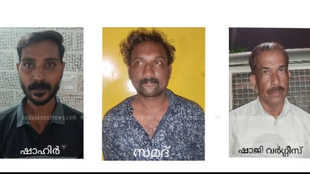 ബ്രൗൺ ഷുഗറും കഞ്ചാവുമായി നഗരത്തിൽ വിവിധയിടങ്ങളിൽ മൂന്ന് പേർ പിടിയിൽ