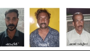 
                        ബ്രൗൺ ഷുഗറും കഞ്ചാവുമായി നഗരത്തിൽ വിവിധയിടങ്ങളിൽ മൂന്ന് പേർ പിടിയിൽ