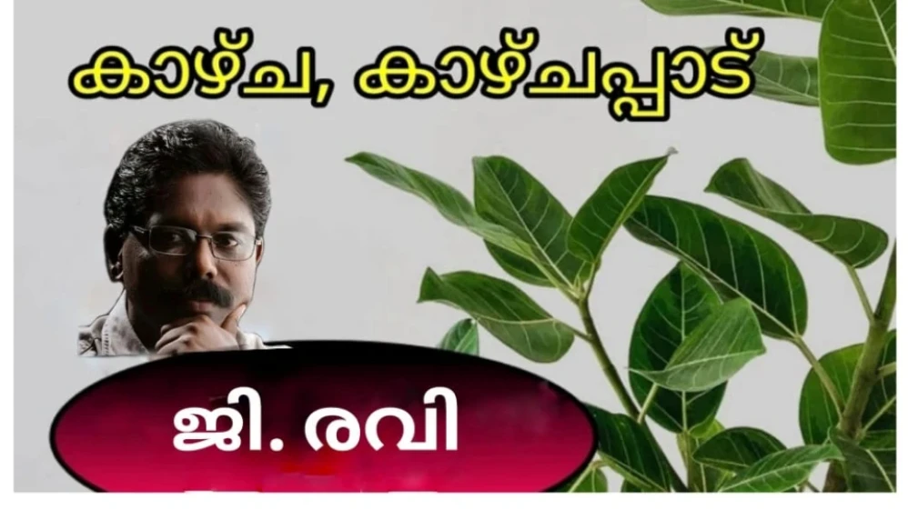  ഭിന്നശേഷി സൗഹൃദമെന്നത് കാഴ്ചപ്പാടും, ജീവിതചര്യയുമാണെന്ന് പൊതു സമൂഹത്തിനു കൂടി ബോധ്യം വരണം 