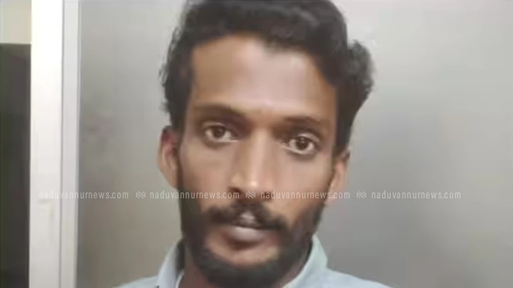 കഞ്ചാവ് കടത്തിയ കേസില്‍ പ്രതിക്ക് കഠിനതടവും പിഴയും